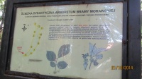 IMG_2794.jpg, 23kB